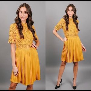 NWT Mock Neck Beautiful Mustard Pattern Dress